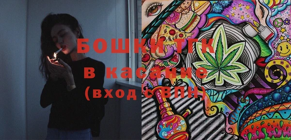 хмурый Бородино