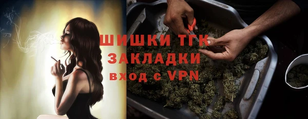 хмурый Бородино