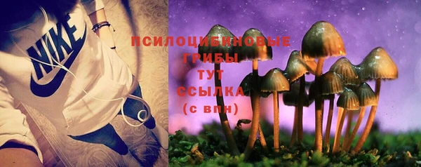 хмурый Бородино