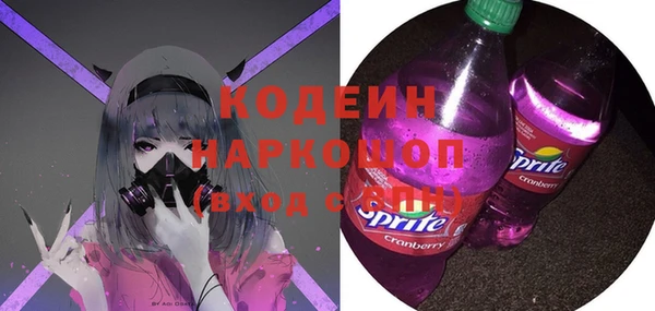 хмурый Бородино