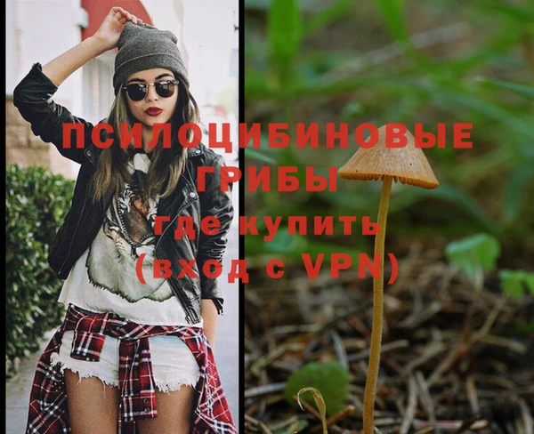 тгк Сосновый Бор